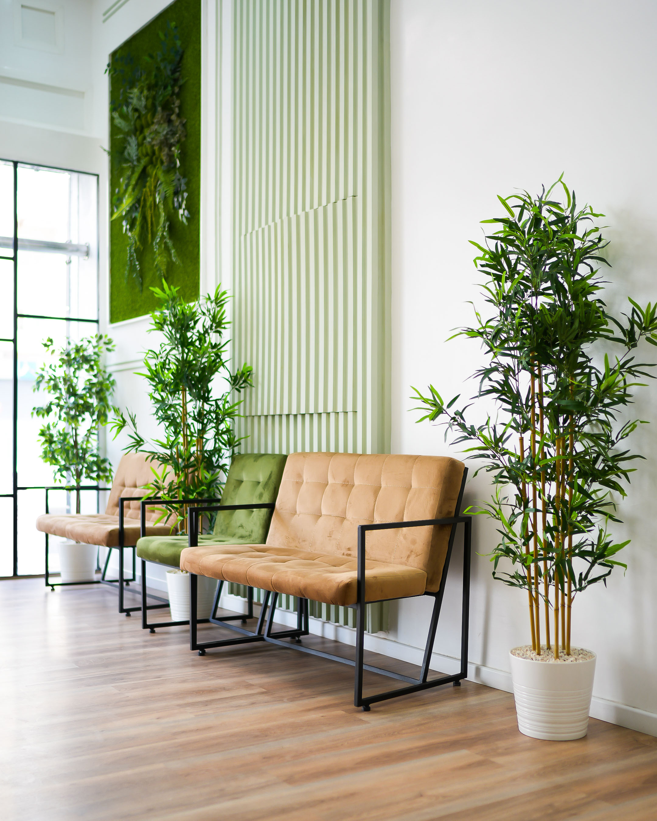 Espaces et soins du centre esthétique Bloom Clinic